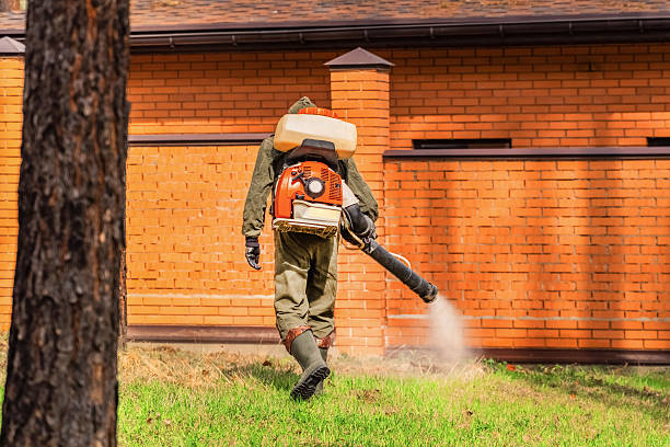 Trusted Fumigation Services service in Bull Shoals, AR - Nex Pest Control